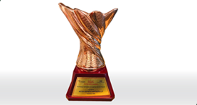 CII award - Technology Optimization in Logistics Service Industry